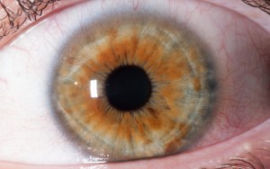 auge-titel-1-von-1-9